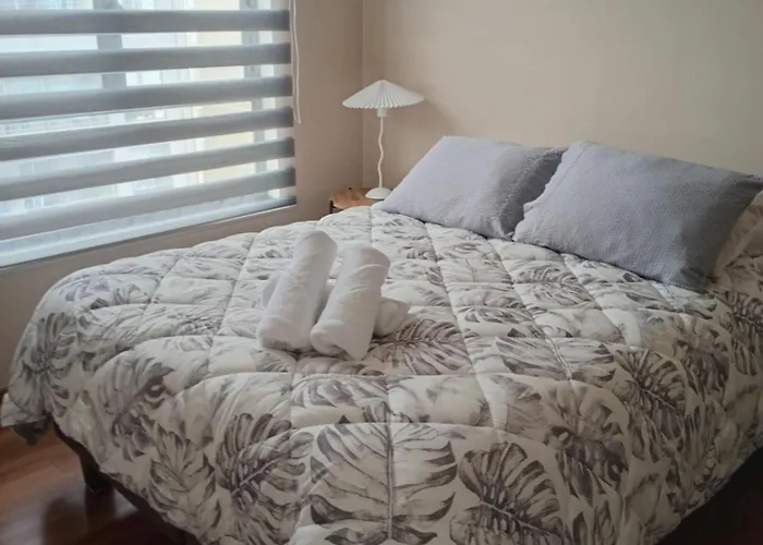 Dpto Nuevo, Full Equipado, 2D, 2B, Centrico, Mirador Del Bio Bio, A Minutos Del Aeropuerto, Mall, Excelente Conectividad